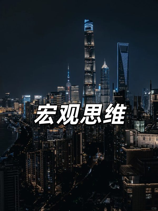 宏观思维-副一网